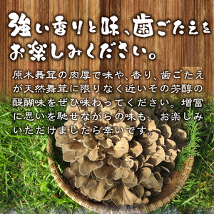 【令和8年産先行予約】 増富天空の舞茸　原木まいたけ　約450g  [h192]