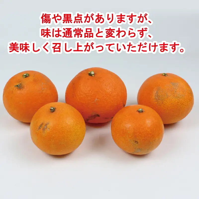 【紅まどんなと同品種】 訳あり 愛果28号 まどんな 5kg 家庭用 玉津柑橘倶楽部 B015-072026