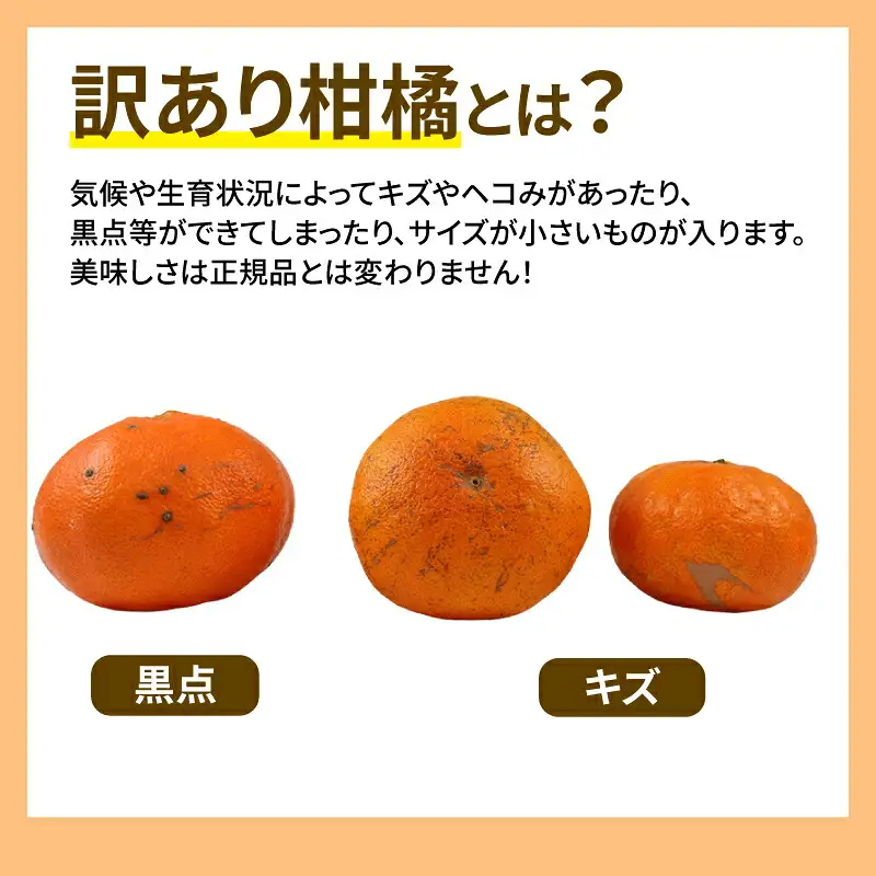 訳あり甘平5kg玉津柑橘倶楽部甘平B015-072027