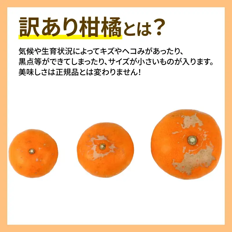 せとか 訳あり 5kg 玉津柑橘倶楽部 せとか B015-072028