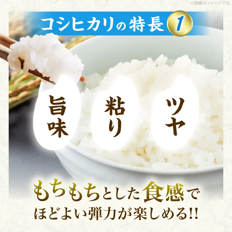 令和8年産 新米 コシヒカリ 計10kg_D131-26
