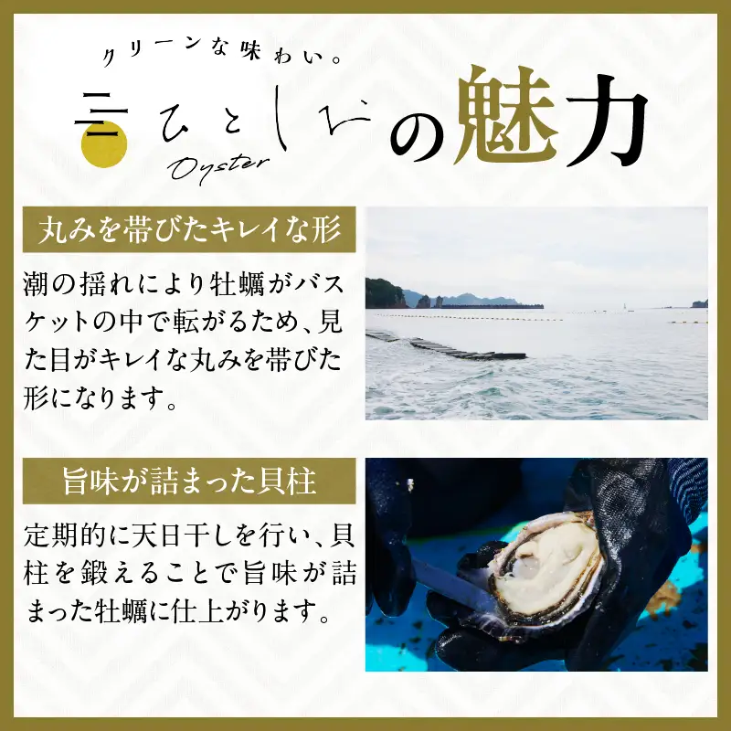 数量限定 宮崎県産 ブランド 牡蠣 ひとしおオイスター 計20個 魚介 魚貝 かき 生食用 殻付き 国産 おかず おつまみ 食品 海鮮 海産物 シーフード BBQ バーベキュー アウトドア グランピング 海の幸 養殖 絶品 贅沢 ご褒美 お取り寄せ グルメ 日南市 送料無料_CB81-23