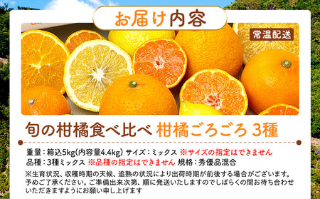旬の柑橘食べ比べ 柑橘ごろごろ 3種 箱込 5kg(内容量約 4.4kg) 秀品 優品 混合 和歌山県産 産地直送 【みかんの会】