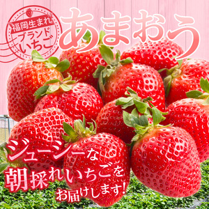 福岡県産【特別栽培】特選DX等級完熟あまおう　270g×4パック_福岡県産 特別栽培 特選 DX等級 完熟 あまおう 270g × 4パック 計 1080g 自然の恵み 濃厚 大粒 ジューシー 朝採れ いちご 宙づり ハンモック構造 贈答用 フルーツ デザート お取り寄せ 福岡県 久留米市 送料無料 〔Fi057〕