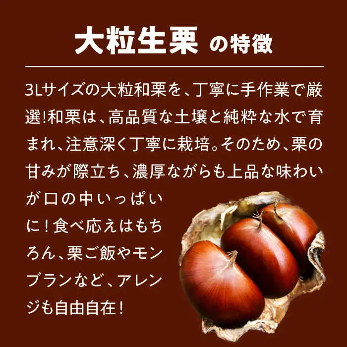 栗 【2026年9月下旬から順次発送】 大粒生栗 1kg[AGAE009]