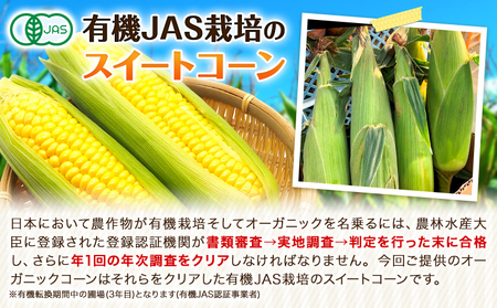 北海道産 オーガニック とうもろこし 10本 伊場ファーム 