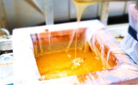 はちみつ 純はちみつ さくら＆れんげ 国産 はちみつ【600g×2本】