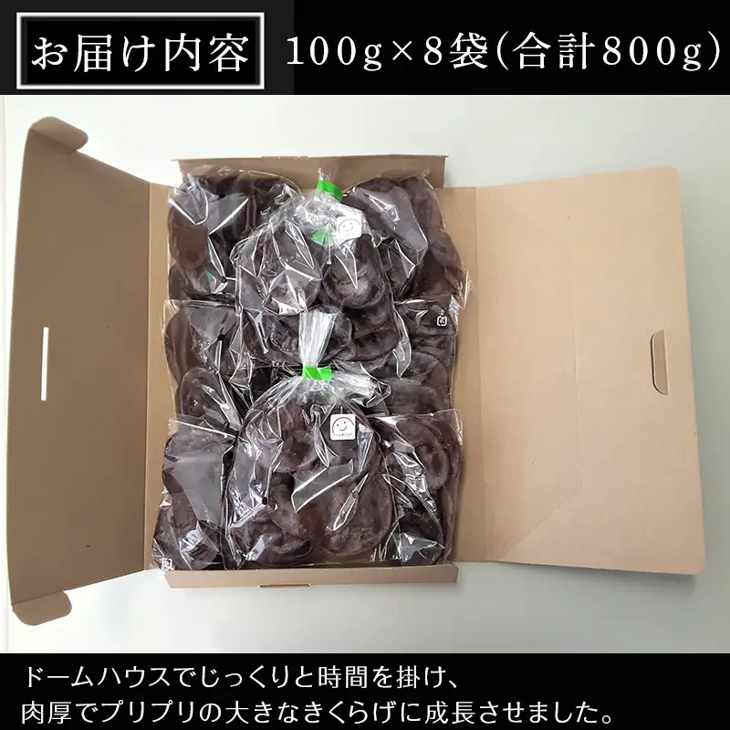 ドームハウスで育てたきくらげ 100g×8袋(合計800g) プリプリ食感 小分け 生きくらげ 木耳 きのこ 料理 調理