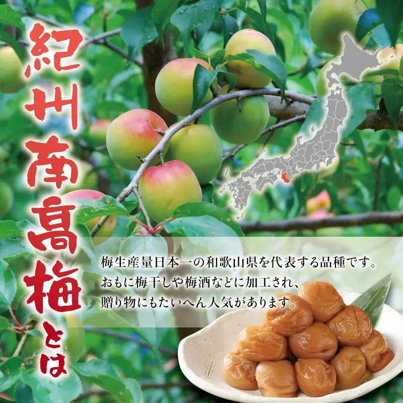 紀州南高梅　うす塩【ハチミツ入】 塩分5%（750g）なかやまさんちの梅干 うめ ウメ 梅干し【nky005-175k】