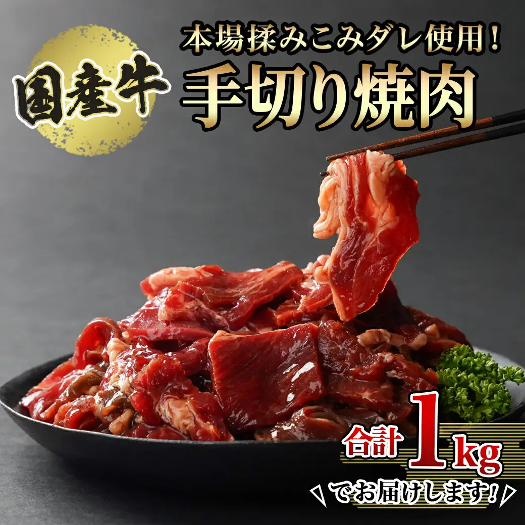 本場揉みこみダレ使用!国産牛手切り焼肉1kg〔AA-3610〕_(都城市) 国産牛 焼肉 バラ ロース 肩ロース タレ漬 500g×2袋 1kg