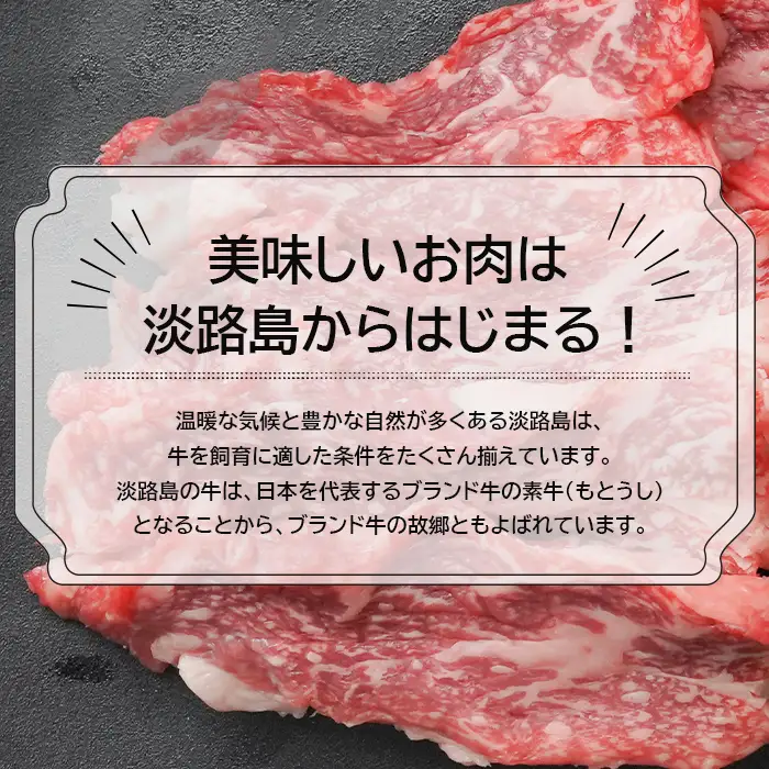 淡路牛カルビ焼肉用500ｇ（250g×2） カルビ