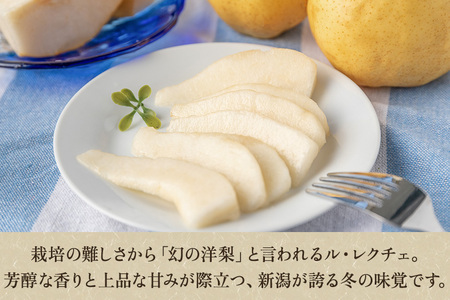 【2026年先行予約】新潟特産 幻の洋梨ル・レクチェ 【赤秀品】約4kg（9〜12個）《11月下旬〜お届け》