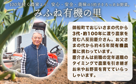 乾燥にんにく 1kg みふね有機の里《30日以内に出荷予定(土日祝除く)》熊本県 御船町 国産 御船町産 有機JAS認定 ガーリック 野菜 有機にんにく 熊本県御船町