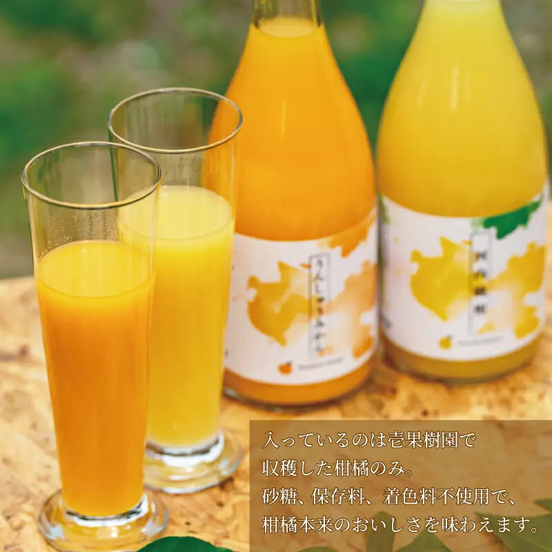 ストレートジュース 愛媛 の 柑橘ジュース 720ml × 2本 セット 壱果樹園 河内晩柑 温州みかん みかんジュース みかん 蜜柑 mikan フルーツ ジュース 果汁 100% 飲料 ギフト 贈答用 果物 くだもの 国産 愛媛 宇和島 H015-141002