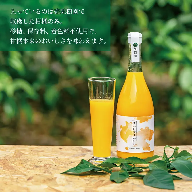 ストレートジュース 愛媛 の 柑橘ジュース 720ml × 2本 セット 温州みかん 壱果樹園 みかんジュース みかん 蜜柑 mikan ジュース フルーツジュース 果汁 100% 飲料 柑橘 ギフト 贈答用 果物 くだもの フルーツ 国産 愛媛 宇和島 H015-141001