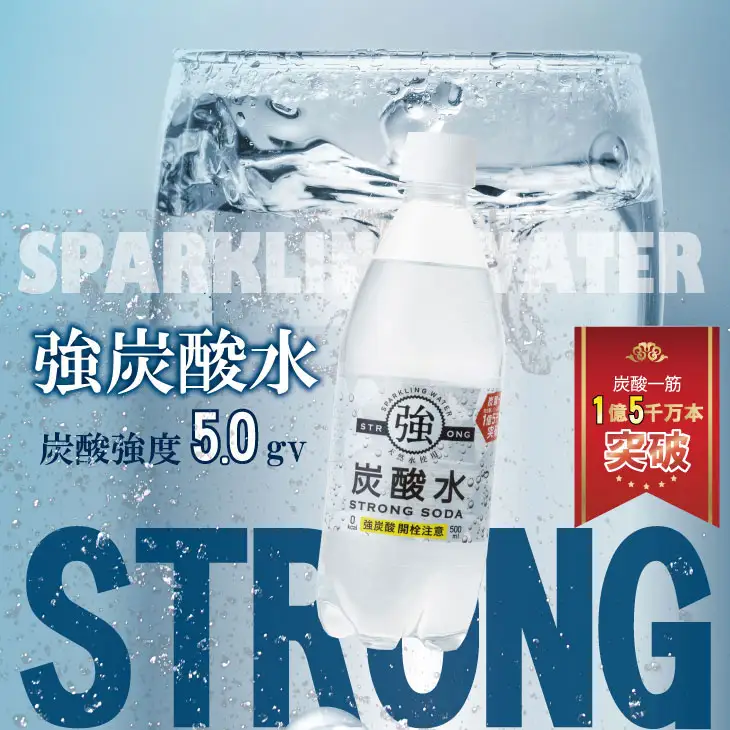 強炭酸水 500ml 24本×2ケース 炭酸 飲料 B120-039