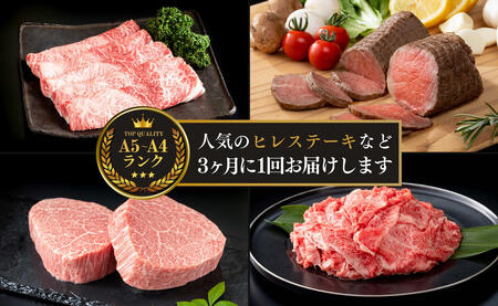 【ヒレステーキも楽しめる！】贅沢な佐賀牛 プレミアム定期便・通年4回 牛肉 黒毛和牛 極上の佐賀牛 厳選 お肉 おにく ギフト プレゼント 贈り物 人気の定期便 ていきびん za014