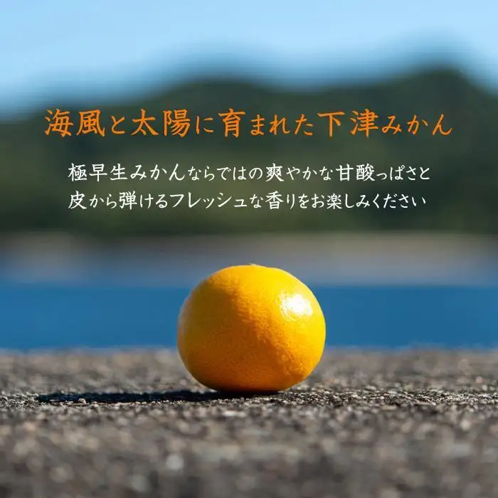 極早生みかん 約5kg 小粒SS・Sサイズおまかせ 《赤秀》 和歌山県産 農園直送 まごころ産直みかん 【10月中旬より発送開始】【北海道・沖縄県・一部離島 配送不可】小玉 贈答 ［Mg16］