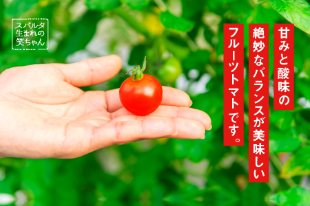 【ギフト】スパルタ生まれの笑ちゃんのトマトジュース(500g×1本)とピューレ(270g×2本)ギフトセット【GC-8】｜送料無料 笑ちゃん ミニトマト トマトジュース 野菜ジュース トマトピューレ 野菜 無添加 無塩 トマト 飲料 凝縮 逸品 料理 便利 贈物 ギフト プレゼント 産地直送 産地厳選 江津市｜