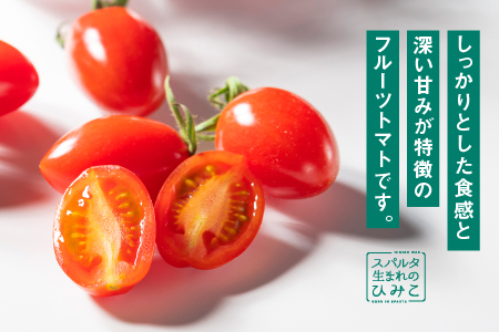 【先行予約】【訳あり】スパルタ生まれのひみこ(フルーツミニトマト)約1kg 【配送不可：離島】 GC-17 【10月下旬以降順次発送】 先行予約 先行受付 産地直送 ミニトマト フルーツトマト 完熟