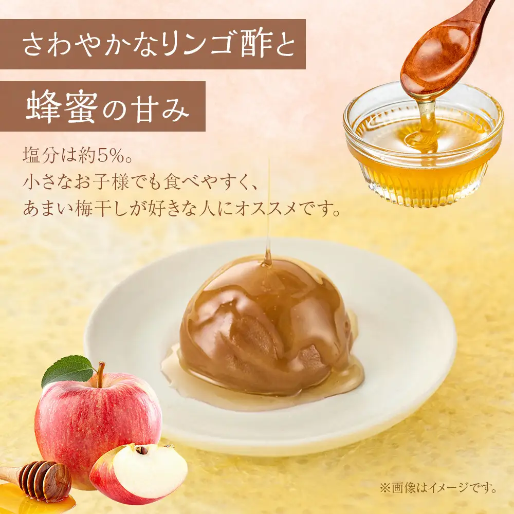 紀州南高梅 蜂蜜つぶれ梅 塩分5％ 1kg (500g×2) ［Kn22］