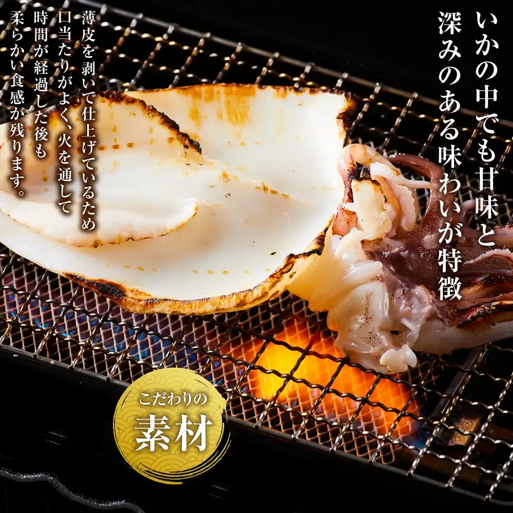 九州産無添加やりいか一夜干し（大サイズ・160ｇ×4）やりいか