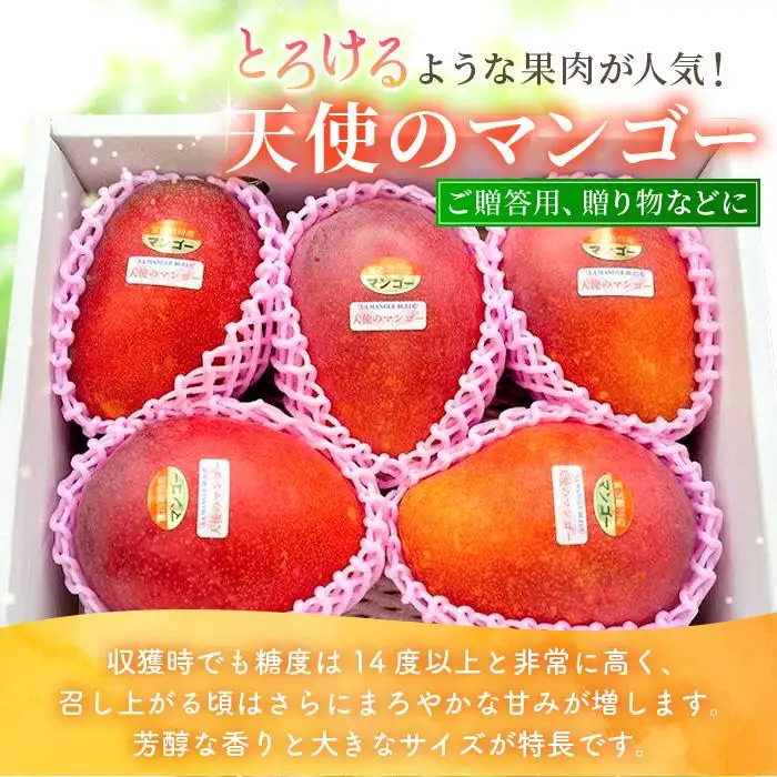 《先行予約 2027年発送》宮古島産アーウィンマンゴー 約2kg（6～9個）【ご自宅用】「LA MANGUE BLEUE」農家直送(GZ003)