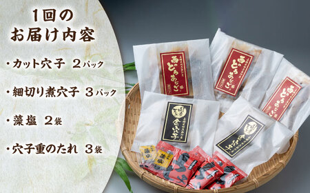【全6回定期便】対馬産 穴子 詰め合わせ 5PAC [WAV007] 対馬 新鮮 とろ あなご 煮穴子 冷凍 海鮮 