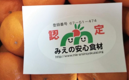 フルーツ  中生 なかて 温州 みかん 蜜柑 三重県  高品質 みえ アルギット / S-Mサイズおまかせ 前元農園の完熟中生(なかて)温州みかん 5kg【2027年1月初旬～下旬に順次発送予定】【mmg031B】