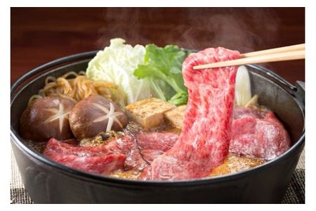 【2607-2575】※HNP-02プレミアム(A5等級)飛騨牛すき焼き用(650g)