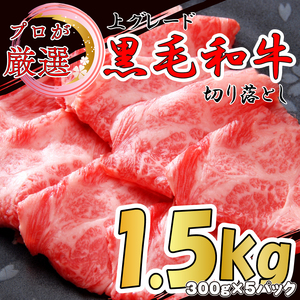 栃木和牛 切り落とし 500g