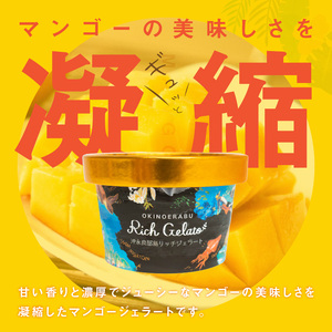 沖永良部島リッチジェラート(マンゴー味)10個セット W009-082u 冷凍 スイーツ
