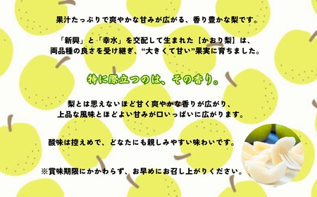 【予約受付中】【9月上旬～中旬より順次発送】【濱田農園】 かおり梨 約5kg 【数量限定】