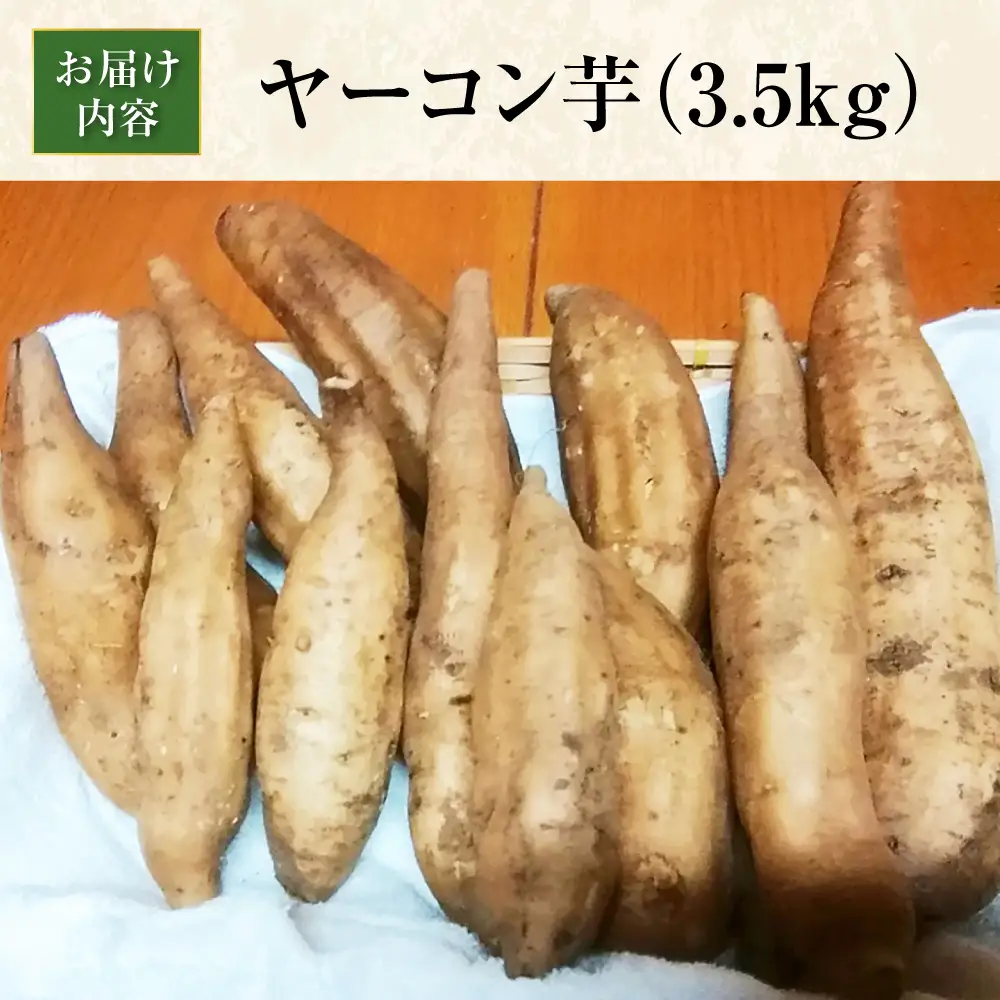 ＜先行予約／11月以降順次発送＞栽培期間中農薬不使用 ヤーコン芋 約3.5kg /  芋 ヤーコン / 瀬戸市 / マルチファームみうら [BBAT004]