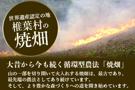【世界農業遺産の産物】焼畑農家がつくった《選べる！》お茶と焼き菓子のセット YS-60