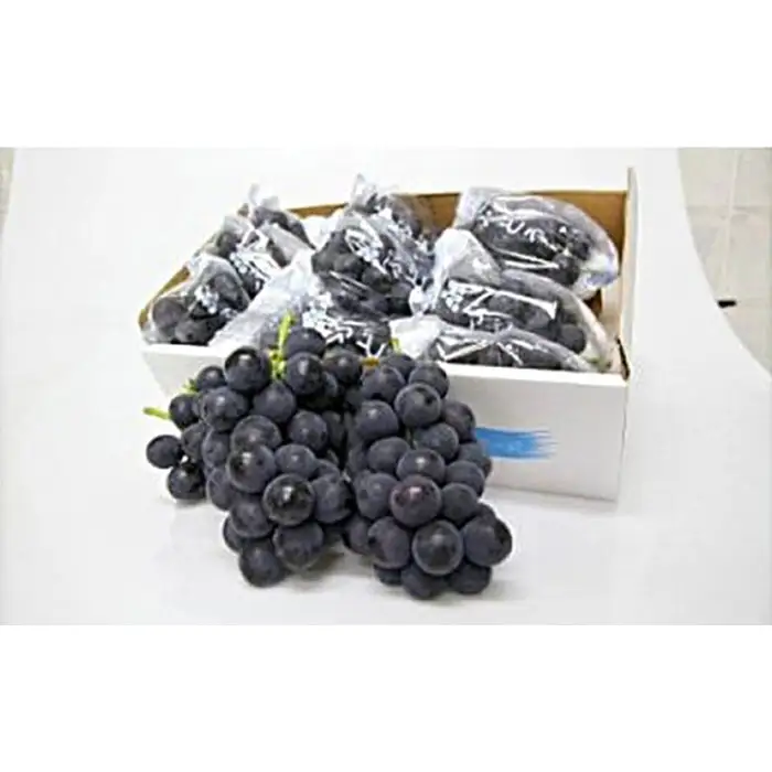岩井の巨峰（令和8年産）約1.8kg No.235