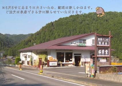 発送不可！超巨大！日本一？の大きさの鯛の落雁 和菓子工房 松栄堂 のおいしい落雁を5尺5寸の大きさで！