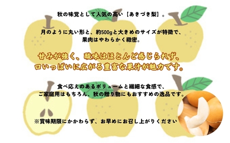 【予約受付中】【9月上旬より順次発送】 【濱田農園】 秋月梨 約5kg 【数量限定】