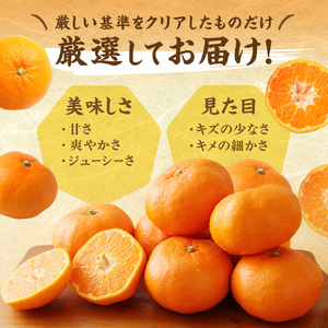 むなかた温州みかん 3kg 【2026年10月下旬～12月発送】【JAほたるの里】_HA1346