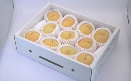 【令和8年産先行予約】 黄桃 「黄ららのきわみ」 約3kg (9～12玉 秀) 《令和8年9月中旬～発送》 『南陽中央青果市場』 桃 もも 果物 フルーツ デザート 山形県 南陽市 [1045]