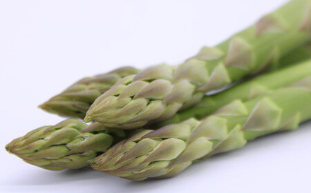 【令和9年産先行予約】 アスパラガス (春芽) 約1kg (3Lサイズ 約20～30本前後) 《令和9年5月～発送》 『生産者 吉田 太一』 山形南陽産 農家直送 山形県 南陽市 [1526]