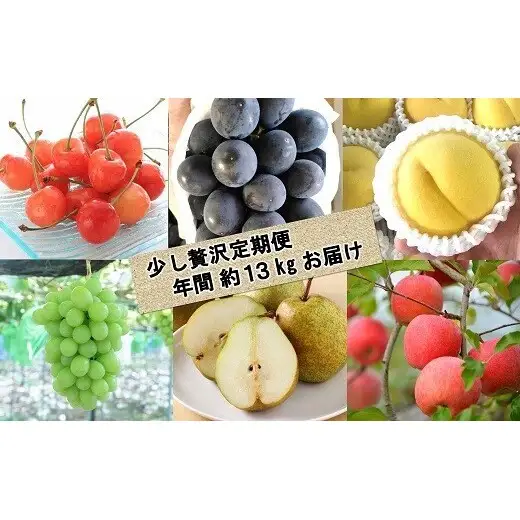 【令和9年産先行予約】 《定期便6回》 くだもの”少し贅沢”定期便 『南陽中央青果市場』 山形県 南陽市 [1166-R9]