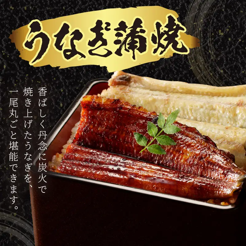 国産うなぎ 鰻の蒲焼き 鰻の白焼きセット うなぎ