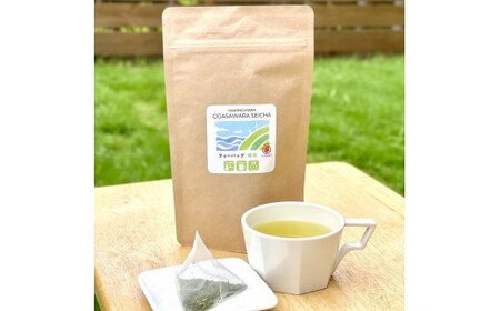 056-9　【ティーバック＆粉末茶】深蒸し茶（一番茶のみ使用！）＆ほうじ茶お試しセット