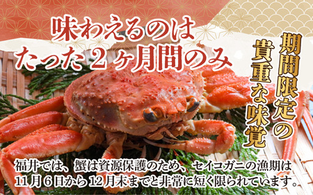 【先行予約】【数量・期間限定】福井県産 越前コッペガニ（セイコガニ）×2杯【急速冷凍】（プロトン凍結）【11月下旬より発送】