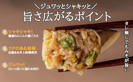徳島れんこん旨みそ餃子（15個入×3箱）　徳島　れんこん　味噌　井上味噌　惣菜　冷凍　おかず　お手軽　餃子