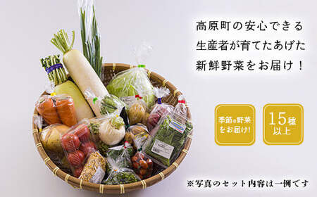 国産『季節の野菜詰め合わせセットA』15種類以上の新鮮な野菜をお届け！ TF0668-P00055
