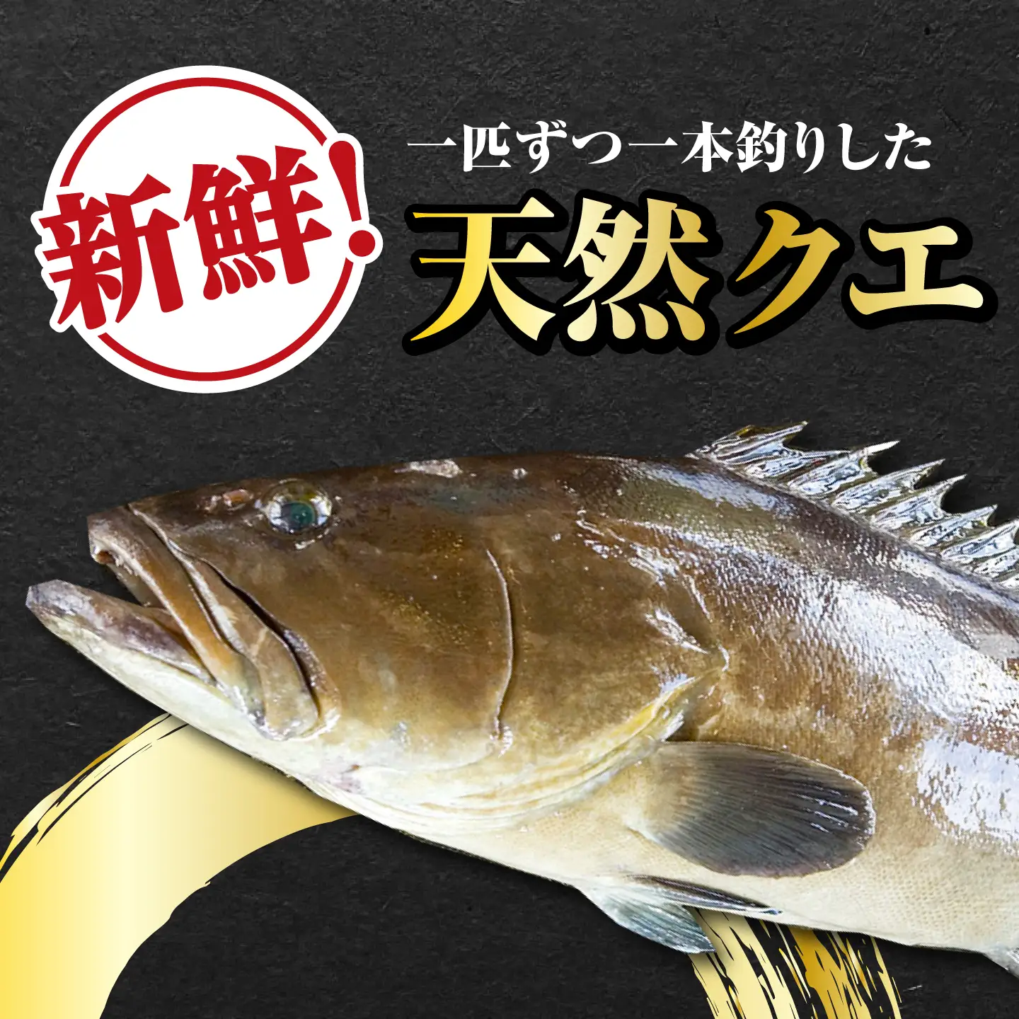 【 対馬産 】 天然 クエ 1kg（500g×2）（切り身） 鍋 高級 [WAB011] クエ くえ