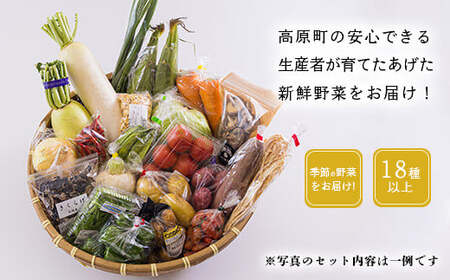 国産『季節の野菜詰め合わせセットB』18種類以上の新鮮な野菜をお届け！ TF0669-P00055