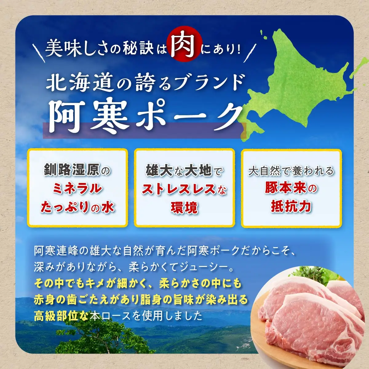 この豚丼 ごちそう便セット【5人前】※冷凍※_I020-0892CZ